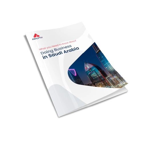 Analytix.sa Home Brochure mockup 1