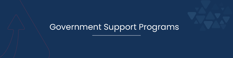 Government Support Programs 01