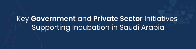 Key Government and Private Sector 01