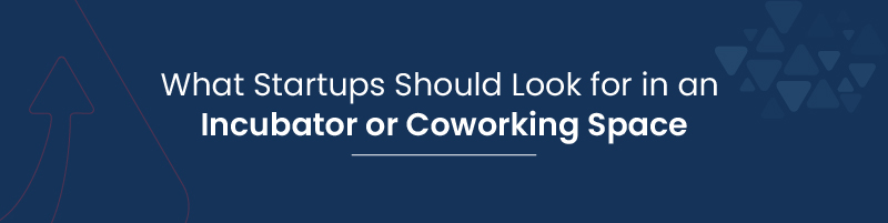 What Startups Should Look for in an Incubator or Coworking Space 01