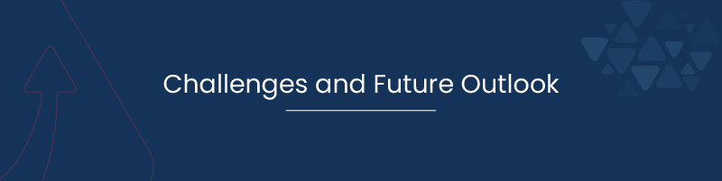Challenges and Future Outlook 01