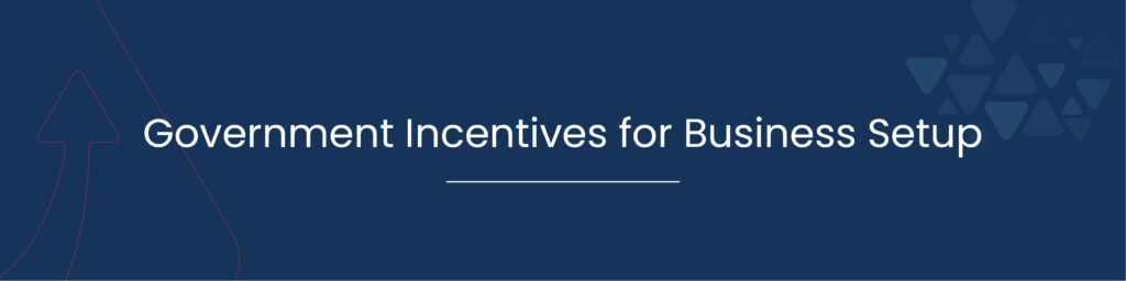 Government Incentives for Business Setup 01