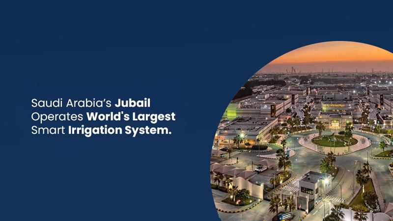 Saudi Arabias Jubail Operates Worlds Largest Smart Irrigation System