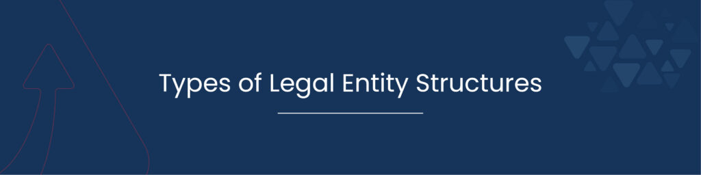 Types of Legal Entity Structures 01