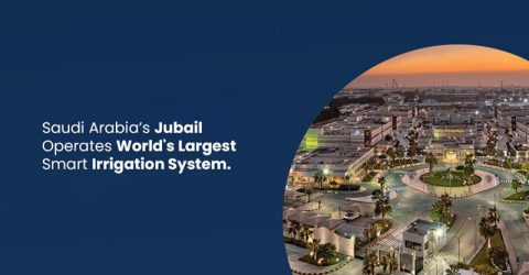 Saudi Arabia’s Jubail Operates World's Largest Smart Irrigation System